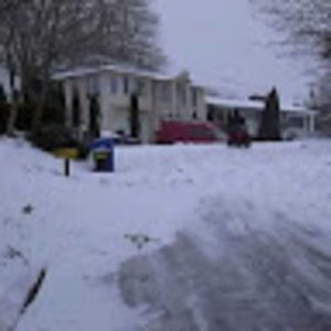 Meet your Posher, Woolf